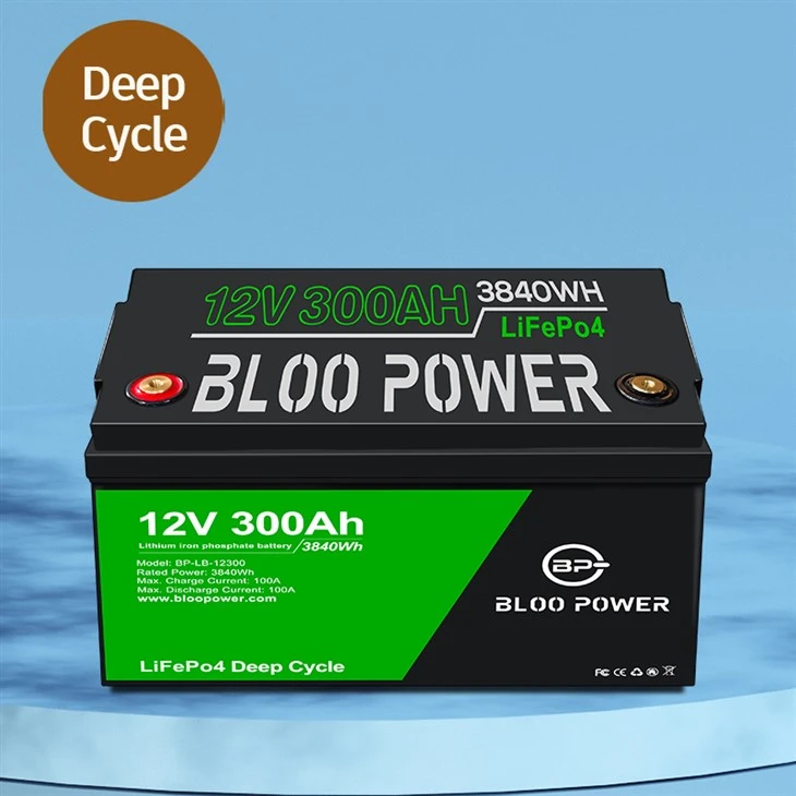 Lithium Ion Phosphate Battery Backup