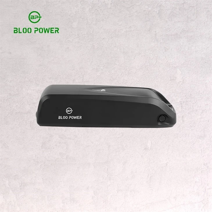 low cost 10Ah ebike battery